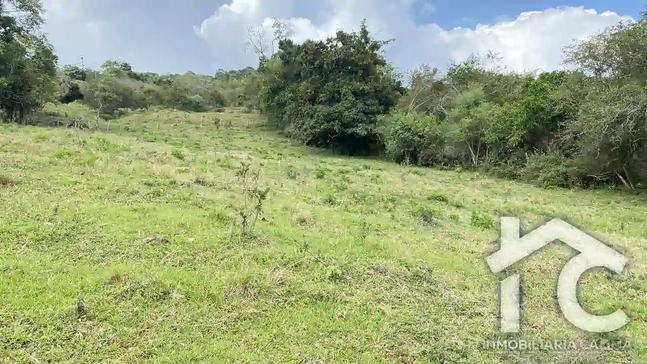 Lote Heidi 2 6040 metros